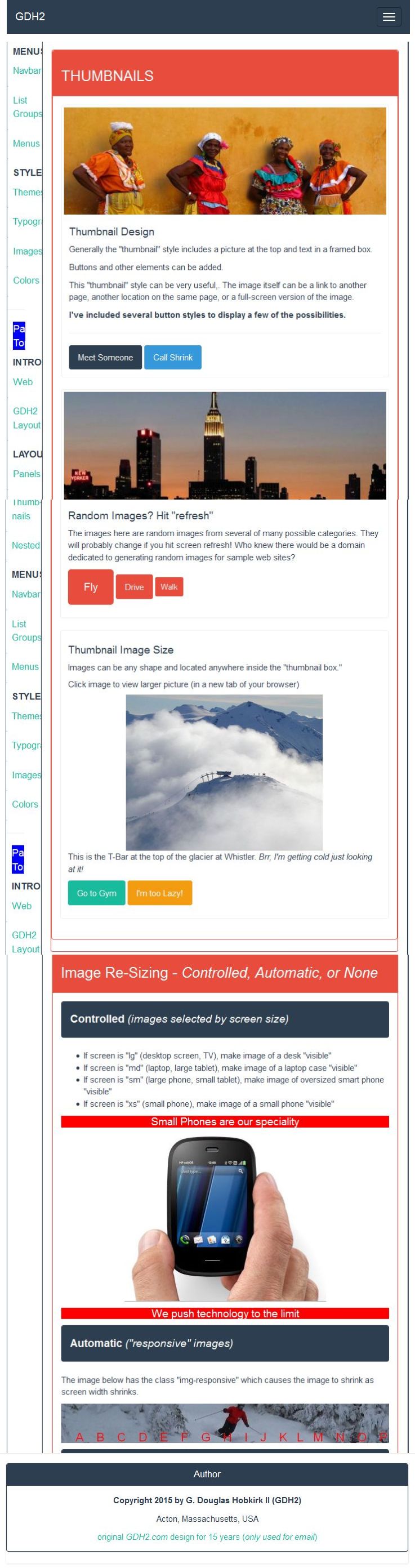 Mobile Website View